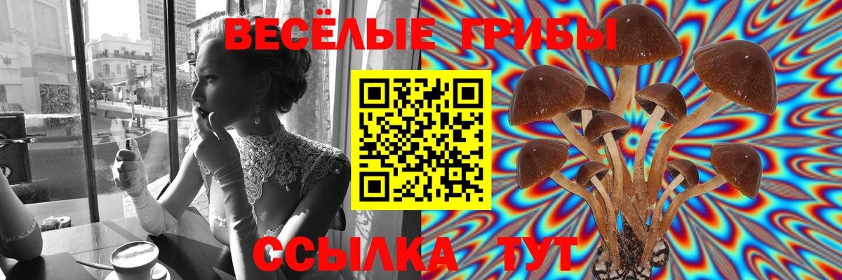 Галлюциногенные грибы ЛСД  Вход с VPN  Галлюциногенные грибы мухоморы  Чистополь 